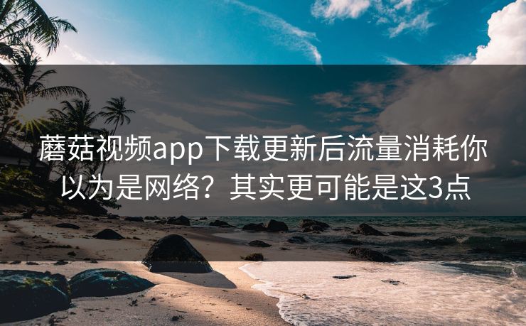 蘑菇视频app下载更新后流量消耗你以为是网络？其实更可能是这3点