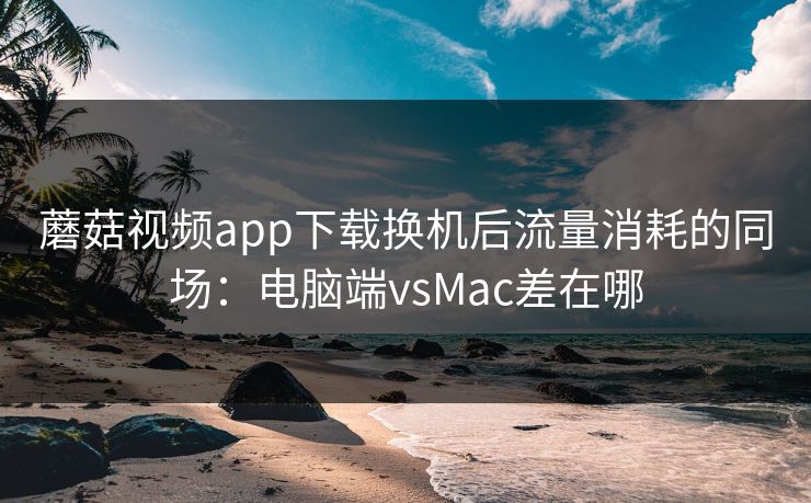 蘑菇视频app下载换机后流量消耗的同场：电脑端vsMac差在哪