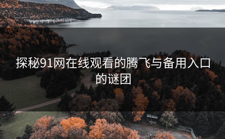 探秘91网在线观看的腾飞与备用入口的谜团