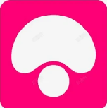 蘑菇视频之家 - 你的专属播放器