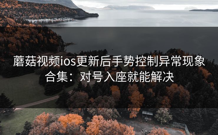 蘑菇视频ios更新后手势控制异常现象合集：对号入座就能解决