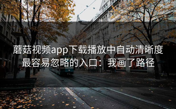 蘑菇视频app下载播放中自动清晰度最容易忽略的入口：我画了路径