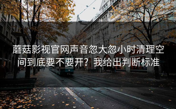 蘑菇影视官网声音忽大忽小时清理空间到底要不要开？我给出判断标准  第1张